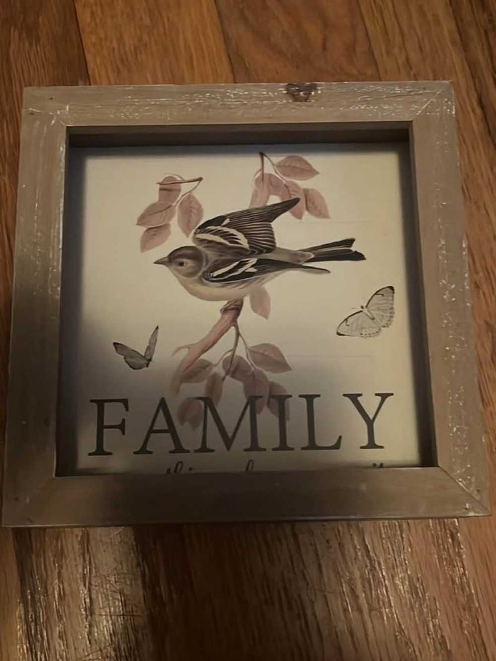 Framed 'Family' Wall Art with Bird and Butterfly Motif -  price firm